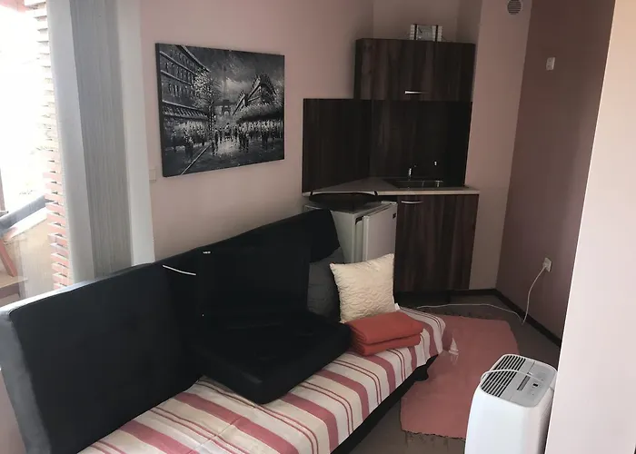 Sunny House Family Complex 3* 内塞伯尔